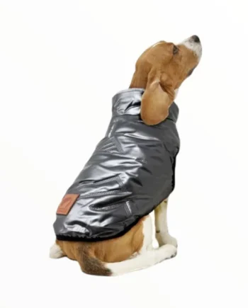 Abrigo Impermeable Metalizado para Perros — Ropa Invierno Moderna