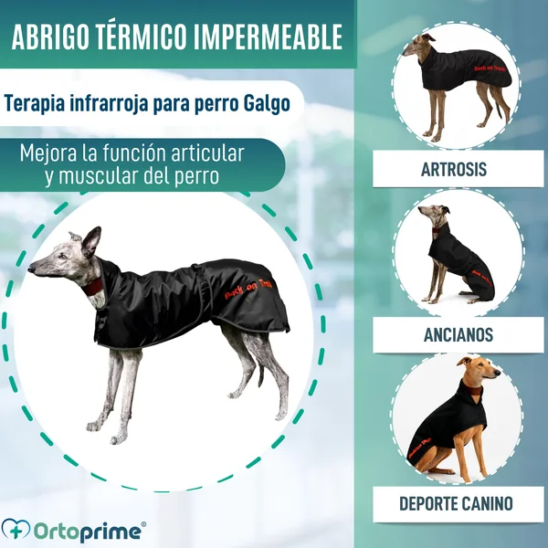 Abrigo Térmico Impermeable para Perro Galgo | 2 Tallas