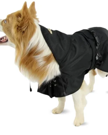 Abrigo Térmico Impermeable para Perros | Back on Track
