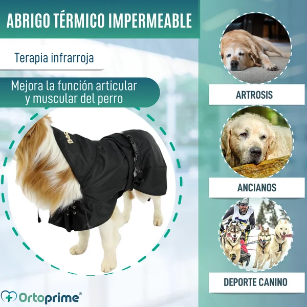 Abrigo Térmico Impermeable para Perros | Back on Track