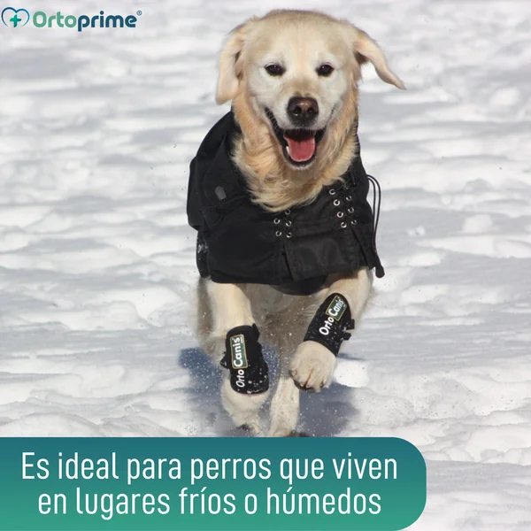 Abrigo Térmico Impermeable para Perros | Back on Track