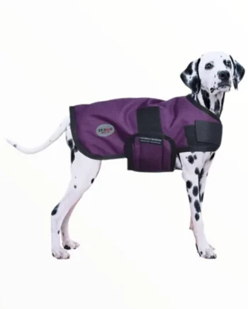 Abrigo Winter X-Dog Impermeable para Perros — Ropa de Invierno