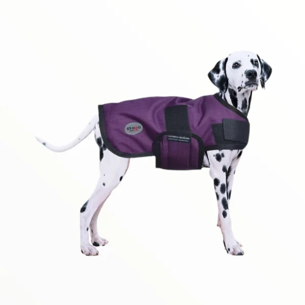 Abrigo Winter X-Dog Impermeable para Perros — Ropa de Invierno