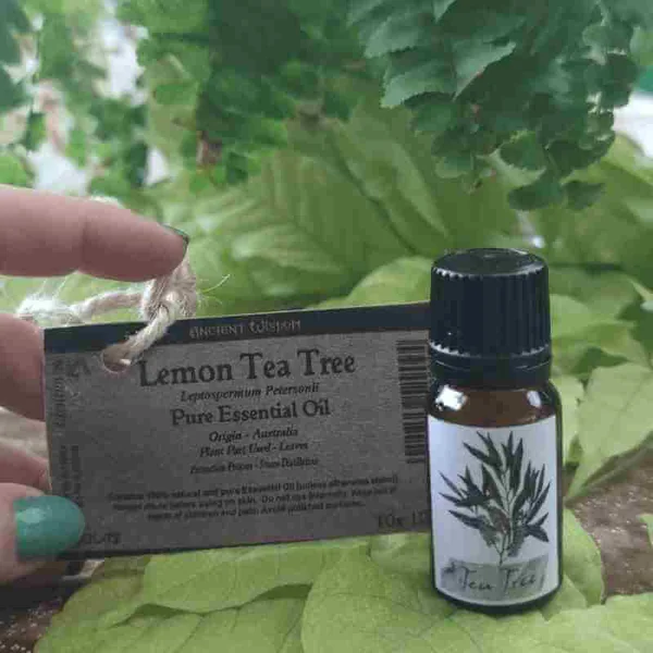 Aceite Puro de Árbol de té