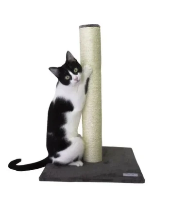 Acogedor Catshion Pole Rascador Gris Para Gatos para el confort del hogar - Compra ahora en Productos Para Gatos.