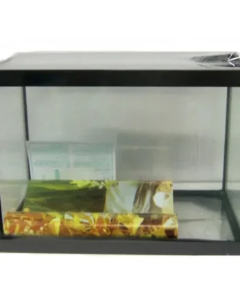 Acuario Marco 35X19X25 cm con Tapa