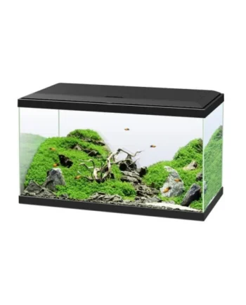 Acuario Negro Ciano 60 Plus con Luz LED, Filtro y Calentador