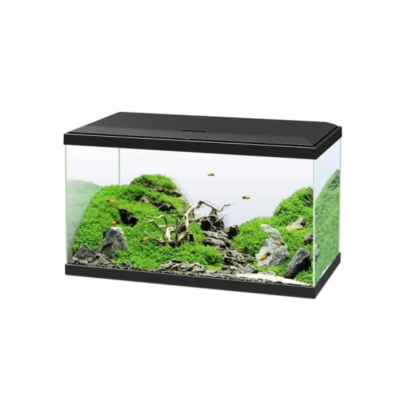 Acuario Negro Ciano 60 Plus con Luz LED, Filtro y Calentador