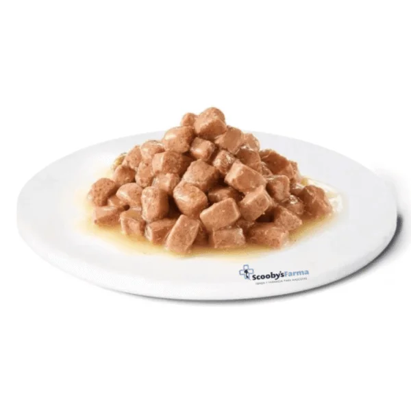 Advance húmeda Renal gatos 85 g
