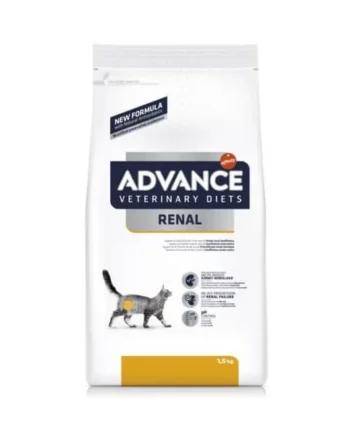 Advance Renal Failure gatos