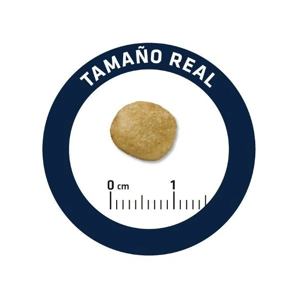 Advance Renal perros veterinary diets