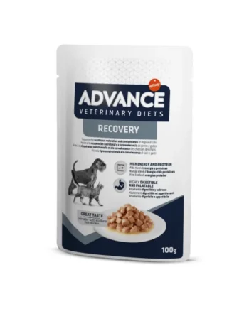Advance Veterinary Diets Recovery Sobres