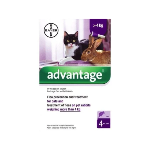 Advantage 80 4 Pipetas (+ 4 kg) Gatos