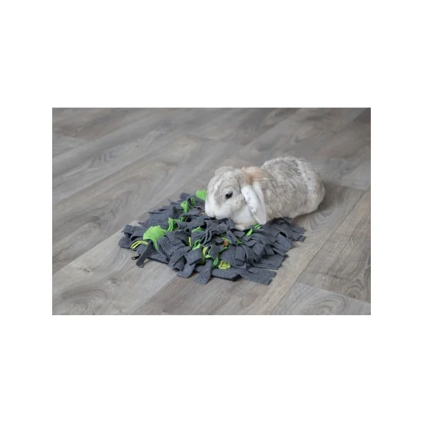 Alfombra para Olfatear gris/verde