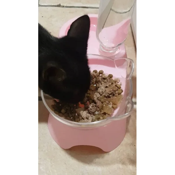 ALMO NATURE con pollo alimento húmedo gatos 400g
