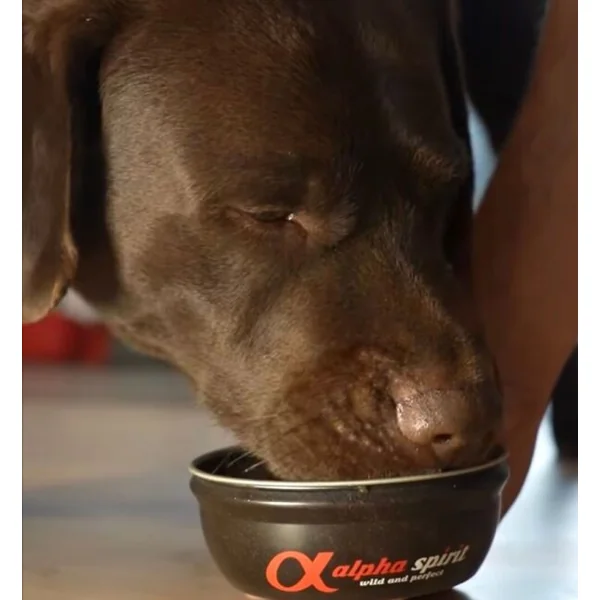 Alpha Spirit Realfood Estofado pato para perros