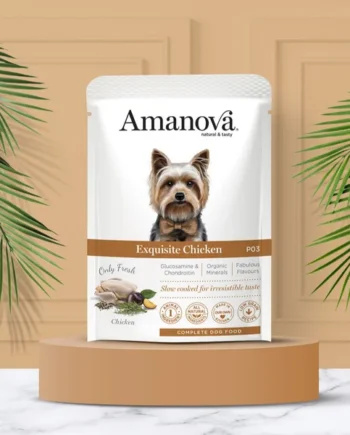 Amanova - Exquisite Chicken (Pollo)