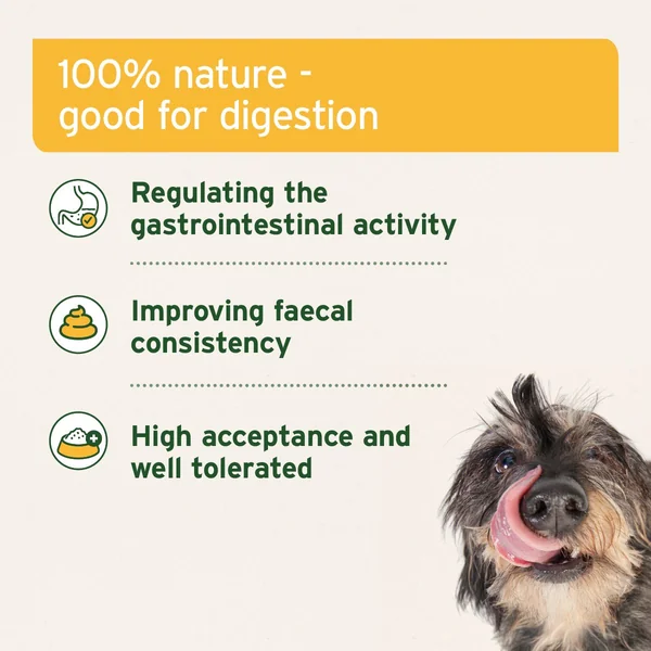 AniForte - Lodo Curativo Natural para Perros y Gatos