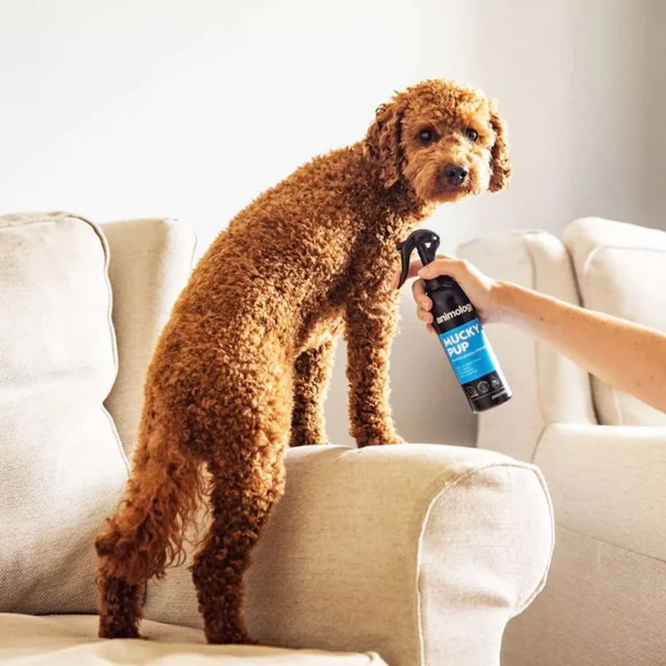 Animology- Champú en seco Mucky Pup