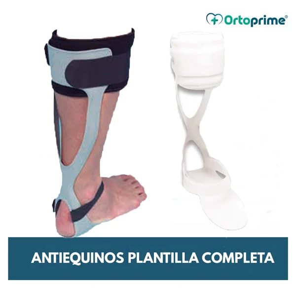 Antiequino Rancho de los Amigos con Plantilla Completa