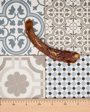 Aorta de Ternera