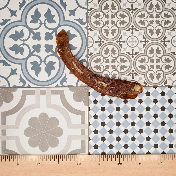 Aorta de Ternera