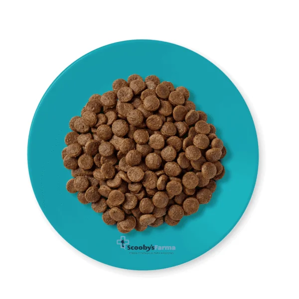 Applaws cat ocean fish salmón gatos esterilizados