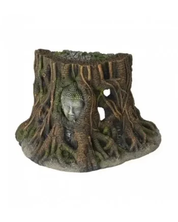 Aqua D'Ella Buda Arbol Thailand 25.5X14X15 cm