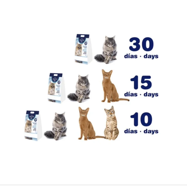 Arena sílice Toilette Cat gatos