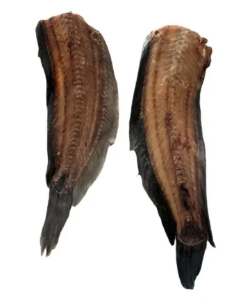 Armazón de bagre
