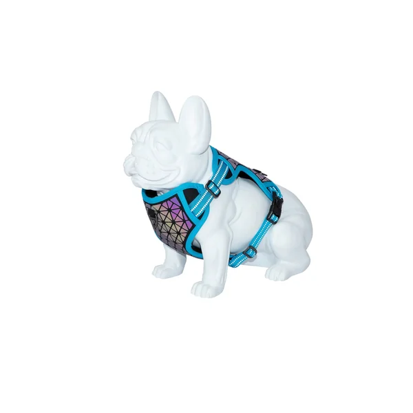 Arnes Boreal Azul Capri 20Mm Cuello 38-59 cm Pecho 38-75 cm