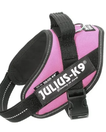 Arnes Idc Julius-K9 Baby 1 Rosa 29-36 cm