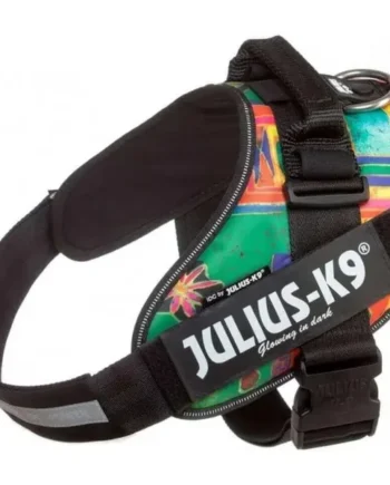 Arnes Idc Julius-K9 Baby 2 Reggae Canis 33-45 cm