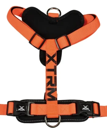 Arnes X-Trm Cronos Neon Flash Rojo 20Mm X 46-75 cm