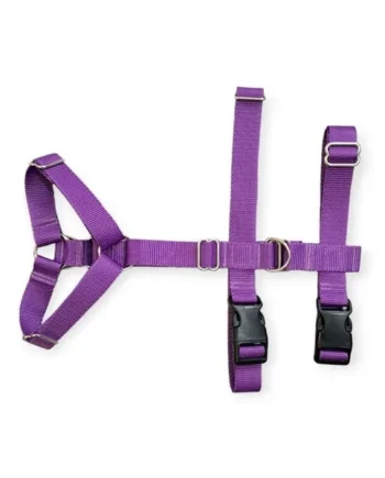 Arnés Antiescape Perro Todoterreno Morado