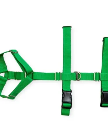 Arnés Antiescape Perro Todoterreno Verde