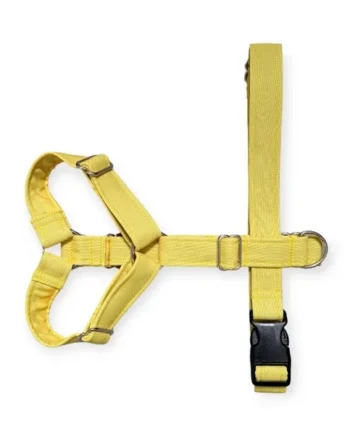Arnés anti-tirones de dos puntos modelo Amarillo