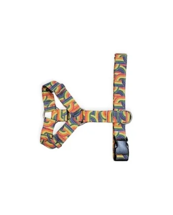 Arnés anti-tirones de dos puntos modelo "Arco Iris"