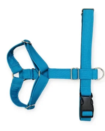 Arnés anti-tirones de dos puntos modelo Azul
