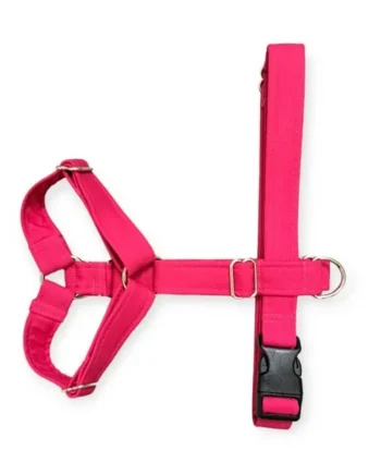 Arnés anti-tirones de dos puntos modelo Fucsia