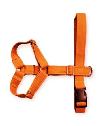 Arnés anti-tirones de dos puntos modelo Naranja