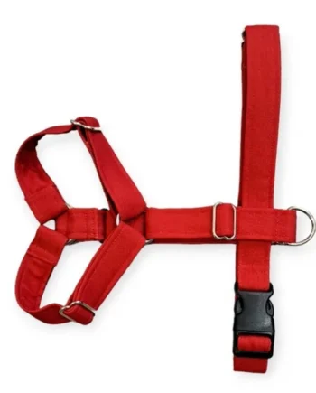 Arnés anti-tirones de dos puntos modelo Rojo