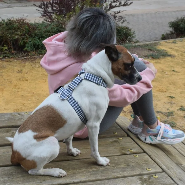 Arnés Anti-tirones Vichy Azul clásico para perros