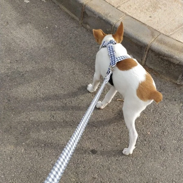 Arnés Anti-tirones Vichy Azul clásico para perros