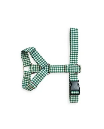 Arnés Anti-tirones Vichy Verde para perros