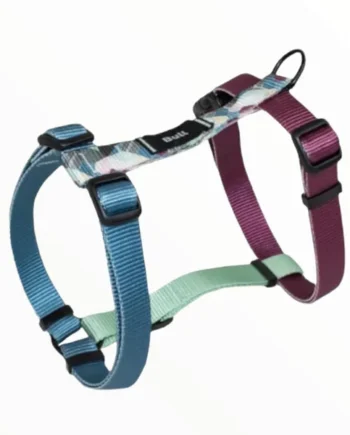 Arnés Bull Thor Collection para Perros — Edición Especial Resistente