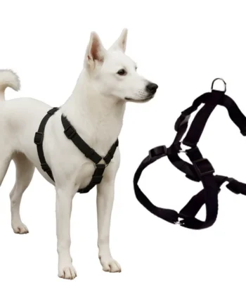 Arnés Canino para Rehabilitación Neurológica | 5 Tallas