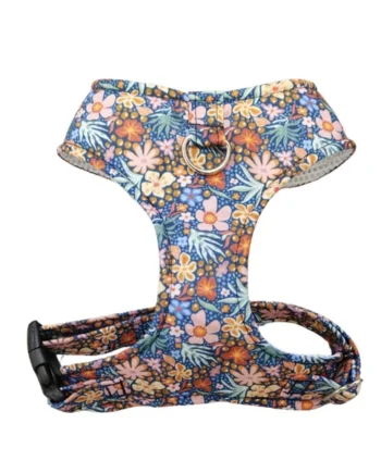 Arnés Chest Jardín para perros pequeños