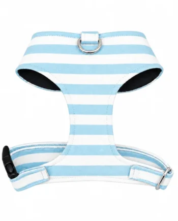 Arnés Chest Verano Celeste