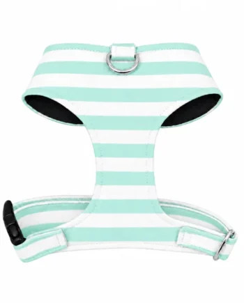 Arnés Chest Verano Verde